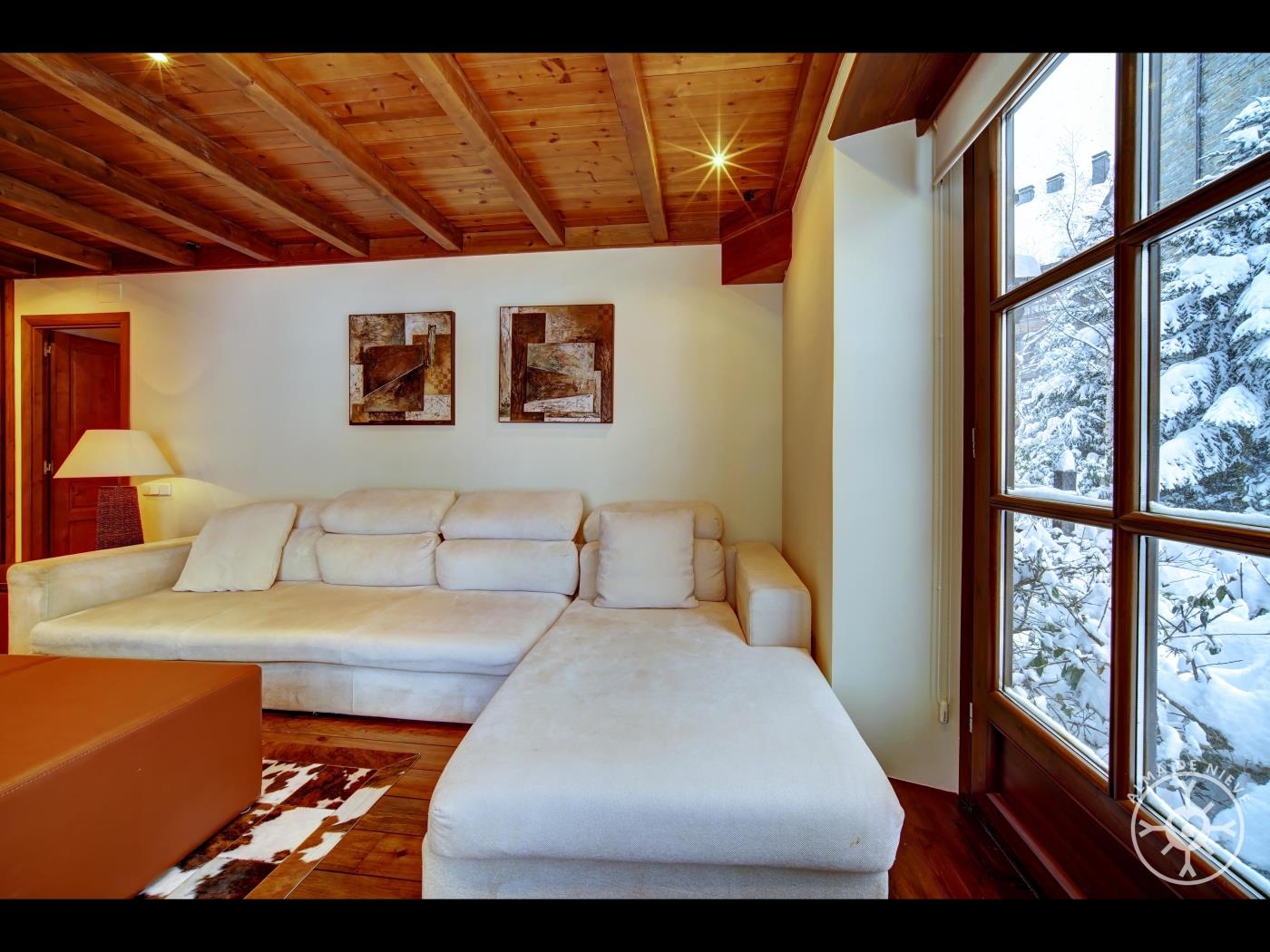 Apartment -Baciver en Val de Ruda in Baqueira