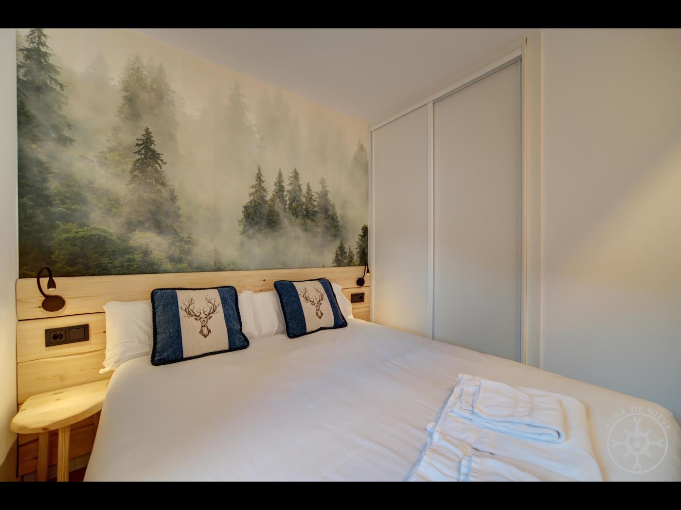 Apartamento - ES BORDIUS - Baqueira en Baqueira